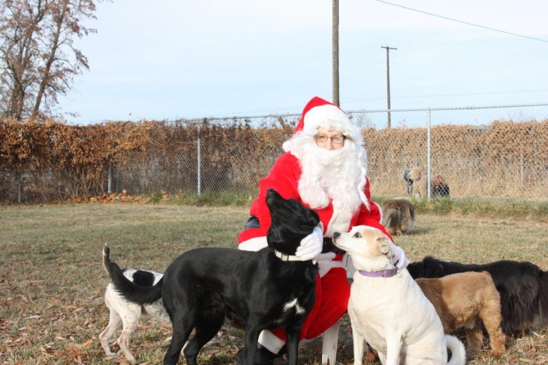 Gallery Family Operated Boarding Kennel For All Dog Breeds Huck