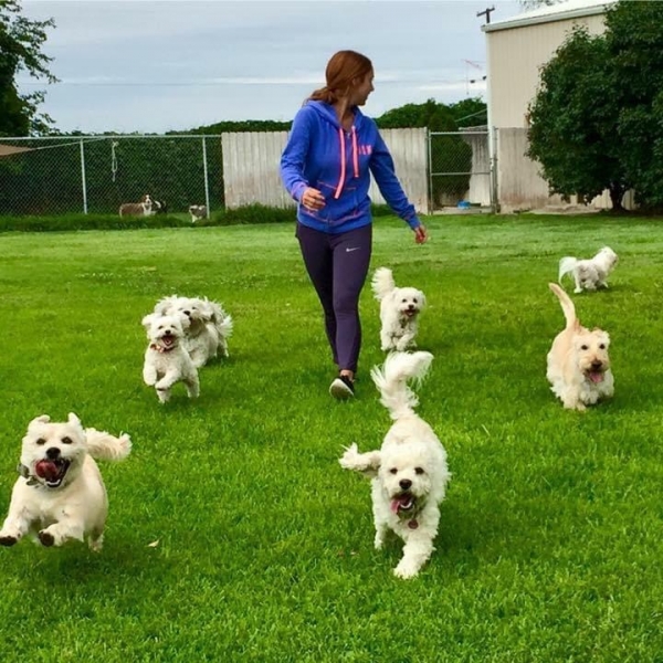 Gallery Family Operated Boarding Kennel For All Dog Breeds Huck